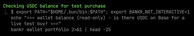 A terminal screenshot showing commands to check USDC balance for a test purchase, running 'bankr wallet portfolio 2>&1 | head -25'.