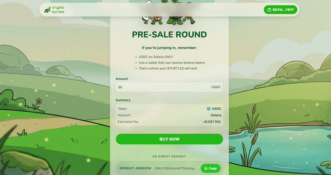 A screenshot of the $TURTLES pre-sale round interface where 50 USDC on the Solana network yields ~0.001 SOL in estimated fees, with a "BUY NOW" button and deposit address provided—visually matching the post's description of a straightforward presale page for the @CryptoTurtles project.