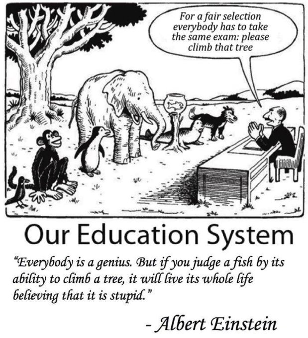 A black-and-white cartoon titled "Our Education System" depicts a man at a desk telling various animals—an elephant, monkey, penguin, fish, dog, and duck—"For a fair selection everybody has to take the same exam: please climb that tree," with an Albert Einstein quote below: "Everybody is a genius. But if you judge a fish by its ability to climb a tree, it will live its whole life believing that it is stupid." The image satirizes how uniform standards fail to recognize different strengths, mirroring the poster's point about dismissing memecoins based on narrow criteria like rapid price swings rather than recognizing their distinct role in the crypto ecosystem.