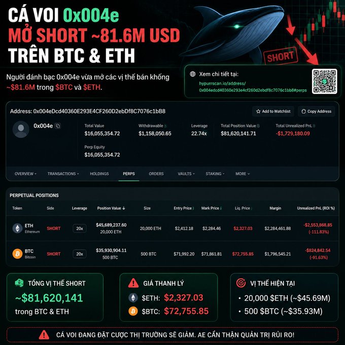 A Vietnamese-language crypto trading infographic showing that trader 'CÁ VOI 0x004e' has opened massive short positions worth ~$81.6M USD on BTC and ETH, with detailed perpetual position data showing unrealized losses.