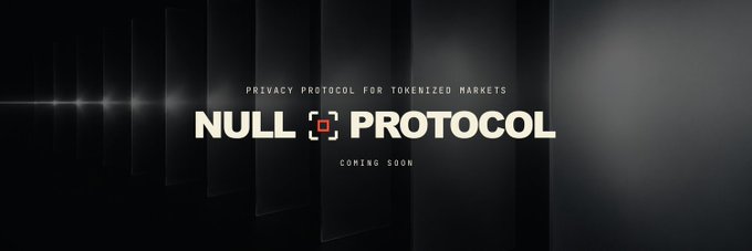 A promotional banner for 'NULL PROTOCOL' with the tagline 'PRIVACY PROTOCOL FOR TOKENIZED MARKETS - COMING SOON' on a dark background.