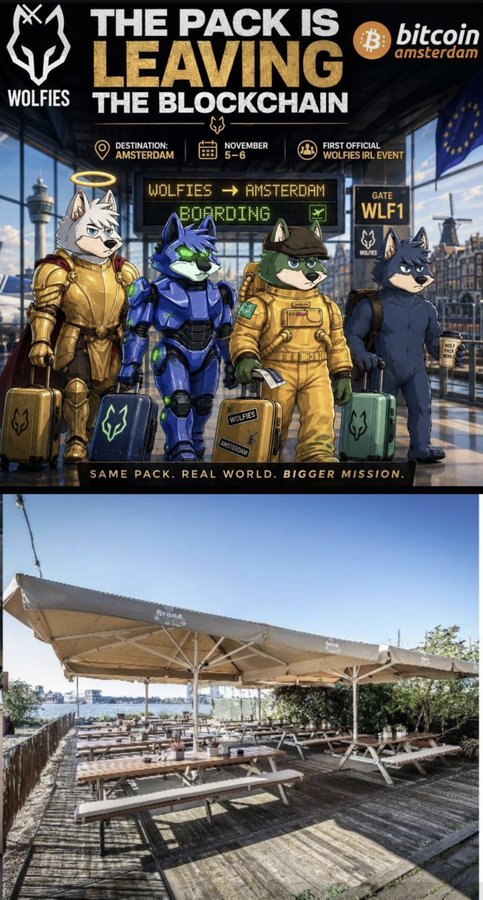 'The Pack is Leaving the Blockchain' promotional graphic for the Wolfies IRL event in Amsterdam on November 5-6, shown above a photo of an empty outdoor venue with picnic tables.