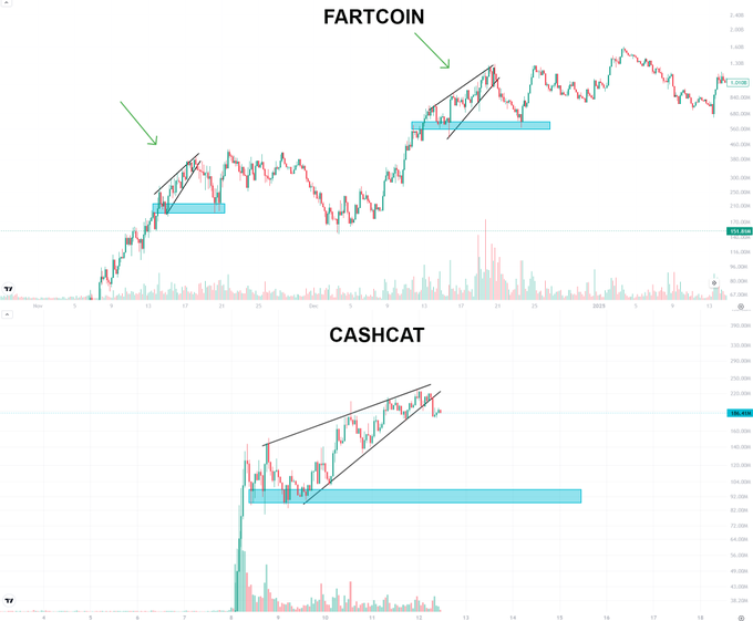 A cryptocurrency chart showing 'FARTCOIN' on top and 'CASHCAT' on the bottom, with ascending wedge patterns and support zones marked with green arrows and blue rectangles.