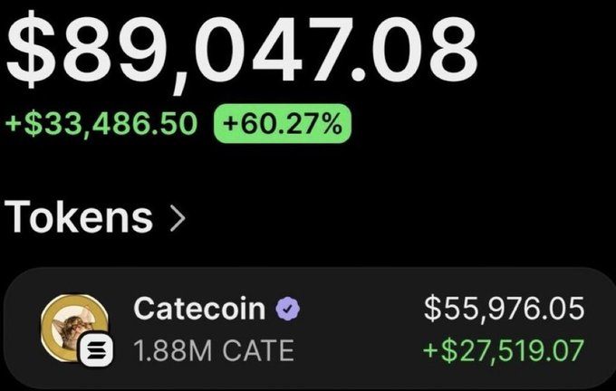 The image displays a portfolio value of $89,047.08, up $33,486.50 (+60.27%), highlighting a holding of 1.88M Catecoin ($CATE) tokens now valued at $55,976.05—a gain of $27,519.07—visually supporting the post's claim of a successful Catecoin investment with significant paper profits after holding since its early $1.04M market cap days.