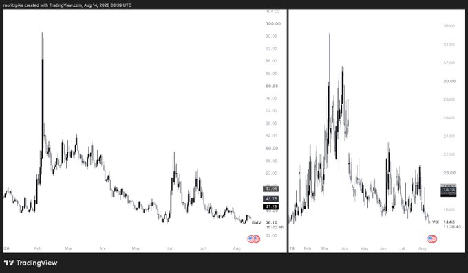 A TradingView chart comparing two stock tickers, BVH and VIX, showing price movements from August 2024 to August 2026, with current values of 36.16 for BVH and 14.63 for VIX.