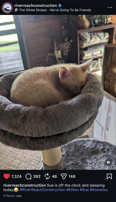 An Instagram post from 'riverreachconstruction' featuring The White Stripes song 'We're Going To Be Friends,' showing a ginger kitten named Sue (Komatsu breed) sleeping curled up in a gray plush cat tree bed, captioned 'Sue is off the clock and sleeping today.'