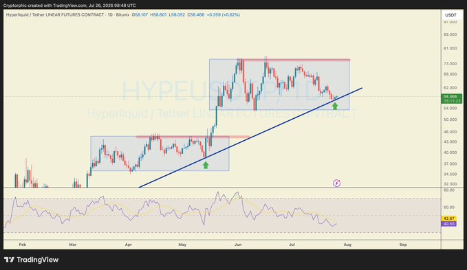 A TradingView candlestick chart of the Hyperliquid/USDT (HYPE) perpetual futures on Binance shows price at $58.466 (+0.62%) bouncing between two horizontal consolidation zones near $46 and $72, with an ascending trendline (and a green arrow marking support) supporting the uptrend, while the RSI at 42.67 below 50 suggests weakening momentum as price pulls back from the upper range toward trendline support.