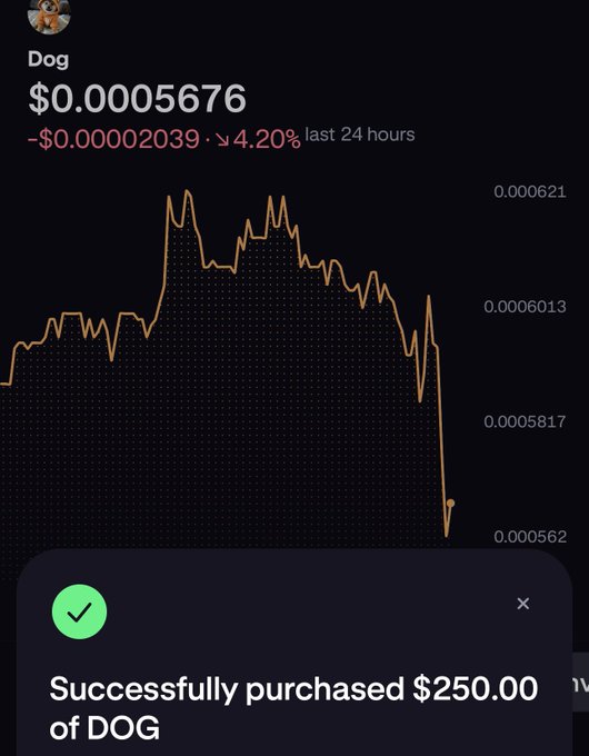A screenshot of a trading app screen showing the progress of a transaction for Dog coins. The screen clearly states "Successfully purchased $250.00 of Dog".