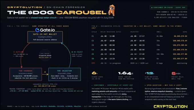 A 'CRYPTOLUTION / ON-CHAIN FORENSICS' infographic titled 'THE $DOG CAROUSEL' detailing a Gate.io hot wallet closed-loop token circuit with documented cycles (C1-C7), transaction dates in July, and on-chain forensic analysis of $DOG token recycling.