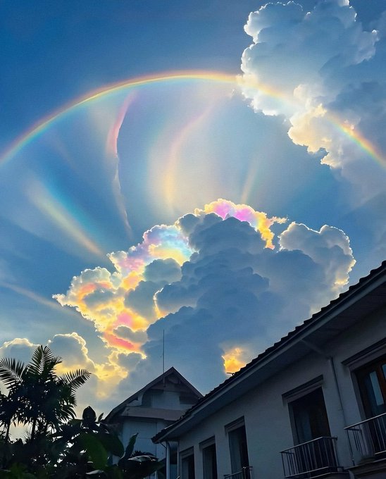A stunning photograph of a rainbow and iridescent clouds above a building with a palm tree, showing beautiful natural atmospheric optics.