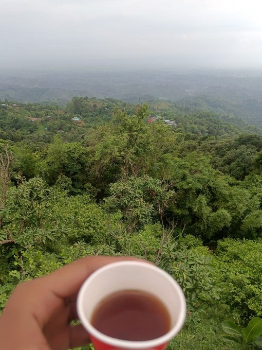 A hand holds a red cup of tea while overlooking a lush green hillside with distant rooftops nestled among the trees, capturing a peaceful morning moment of reflection that mirrors the post's message of starting the day with clarity, focus, and motivation to build toward meaningful progress.