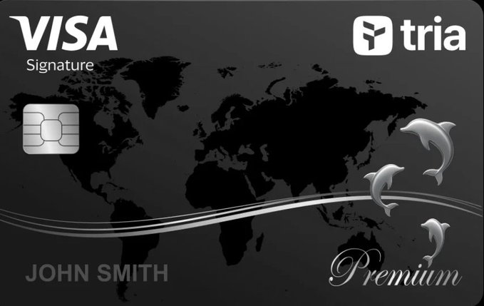 The image features a black Visa credit card with a white border, featuring a world map design on its front. The text "Visa Signature" is written above the map, indicating that this card is specifically designed for Visa customers. Below the map, there are three dolphins depicted in various positions and sizes, adding a touch of whimsy to the card's design. The image also includes a caption that reads: "Focus on what is in the image and how it relates to the post."