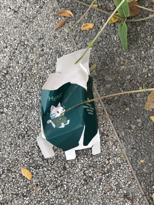 A crumpled dark green snack package featuring a cartoon cat illustration lies discarded on a gravel surface near some leaves and twigs.