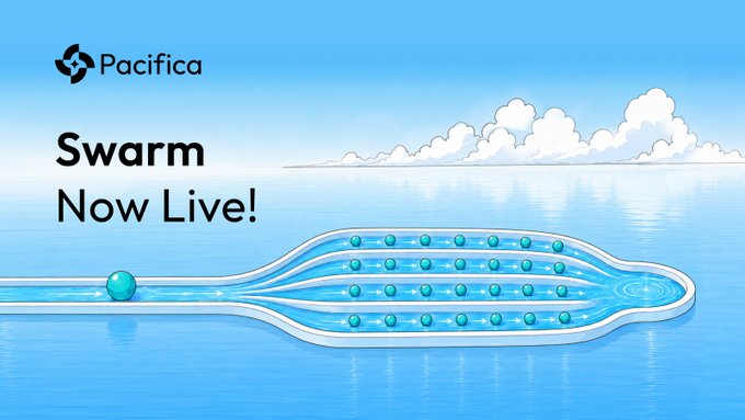 The image is a Pacifica promotional graphic announcing that Swarm orders are now live, featuring the Pacifica logo and "Swarm Now Live!" text alongside an illustration of a single droplet splitting into multiple parallel streams of smaller droplets—visually representing how Swarm breaks large orders into smaller, gradually executed trades.