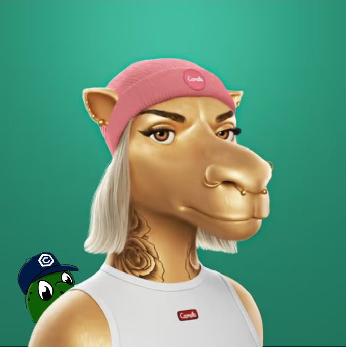 A 3D-rendered stylized character with a camel's head, gray hair, pink beanie labeled "Camel", nose ring, and rose neck tattoo, with a small green mascot character in the bottom left corner.