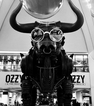 A black and white photograph showing a large statue of a bull wearing aviator goggles, with banners reading 'OZZY' and 'THE BULL' visible in the background.