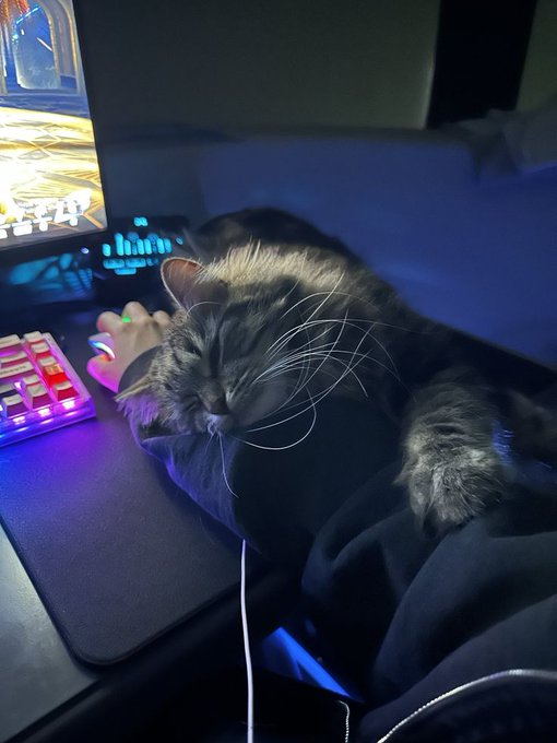 A tabby cat rests peacefully on someone's lap in front of a backlit RGB keyboard and computer monitor in a dimly lit room.