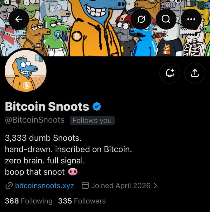 A X (formerly Twitter) profile page for 'Bitcoin Snoots' (@BitcoinSnoots), a verified account featuring a cartoon avatar, a banner with crypto-themed cartoon characters, and a bio describing hand-drawn NFTs inscribed on Bitcoin.