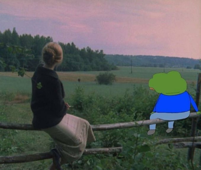 The image features a woman sitting on a wooden fence, looking out at a field with trees in the background. The woman appears to be wearing a black jacket and has blonde hair. There are also two green frogs visible in the scene, one of which is positioned behind her head while she's sitting down. The post that accompanies this image reads: "Exquisite and wholesome ser Visual portrait of the feels that $fxUSD catalyzes". This suggests that the woman's presence in the image might be related to a specific event or situation involving money, such as an advertisement for a product or service.
