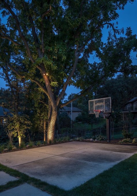An evening view of a backyard basketball court illuminated by landscape lighting, with a large tree towering beside the hoop against a deep blue twilight sky.