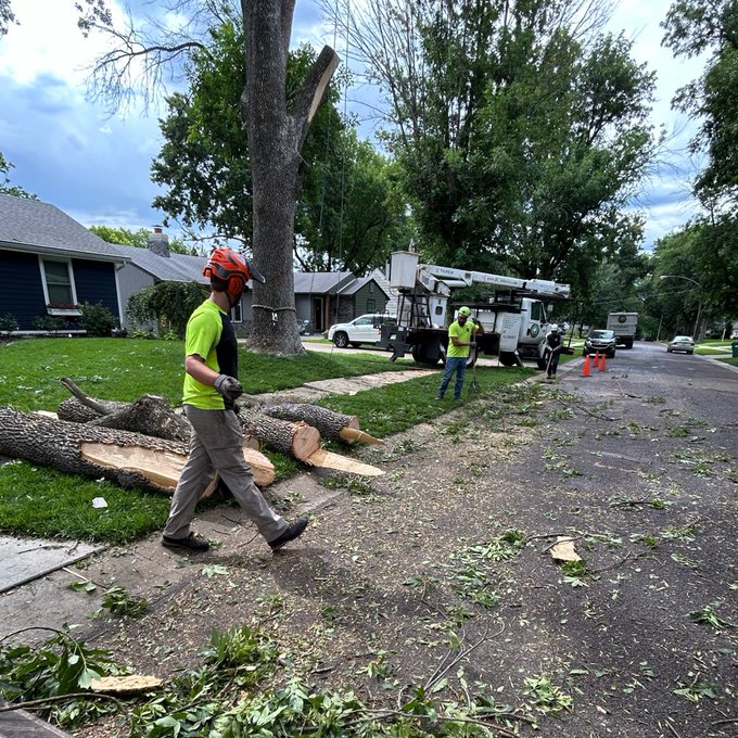 In this scene, there are two men walking along a sidewalk next to several large trees with cut branches lying around on the ground. In the background, three more people can be seen further down the street. The area appears to be under construction or maintenance as they're dealing with fallen tree limbs and branches that need to be cleaned up.

The image also features two trucks parked nearby, one closer to the center of the scene and another near the left side. There are three cars in the background behind a fence. Additionally, there's a bench located on the right side of the sidewalk and an orange traffic cone positioned towards the middle area.