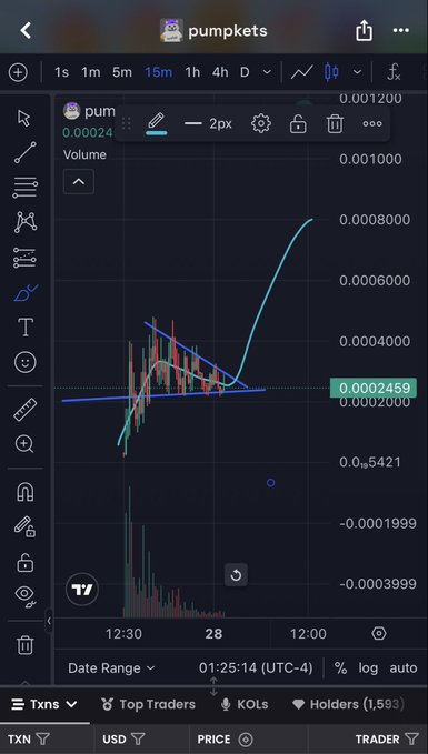 A TradingView-style chart showing the 'pum' token (pumpkets) on a 15m timeframe, with price around 0.0002459 and a descending triangle pattern drawn in blue lines.