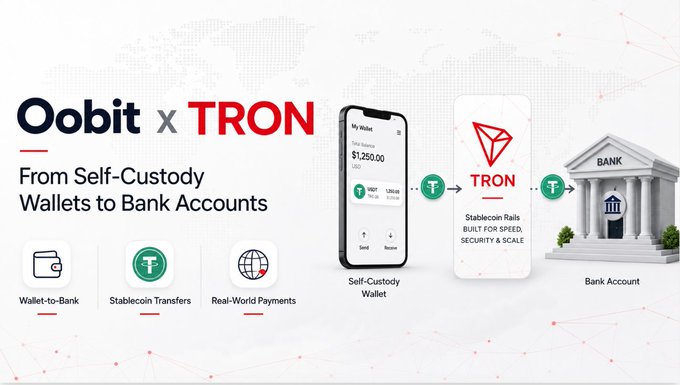 A promotional graphic for the "Oobit x TRON" partnership, highlighting the tagline "From Self-Custody Wallets to Bank Accounts." It illustrates a flow from a mobile self-custody wallet showing a $1,250 USD balance, through the TRON network for stablecoin rails, to a traditional bank account, with icons at the bottom for Wallet-to-Bank, Stablecoin Transfers, and Real-World Payments.

The image visually supports the post's message by showing how crypto assets stored in self-custody wallets can be seamlessly transferred through TRON's stablecoin rails directly into bank accounts, bridging the gap between on-chain assets and real-world financial use.