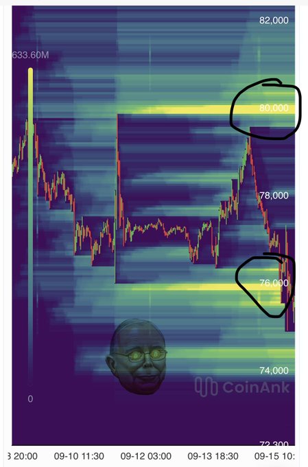 A Bitcoin price chart from CoinAnk displayed over a heatmap, showing recent price action ranging roughly from $74,000–$82,000, with hand-drawn circles highlighting the ~$80,000 resistance zone and ~$76,000 support level. The overlay of Warren's face and the "BTFD" (Buy The F***ing Dip) caption humorously frames the chart as a battle between Bitcoin bulls buying dips around $76K and Senator Warren's apparent disapproval of crypto.