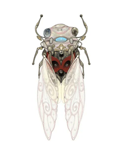 A detailed, symmetrical illustration of a cicada-like insect with patterned translucent wings, metallic-looking body segments, and gemstone-like eyes on a white background.