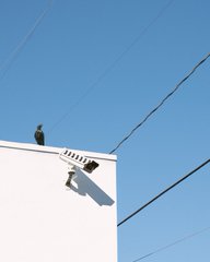 A minimalist image of a bird perched on the corner of a white structure against a blue sky, with power lines visible.