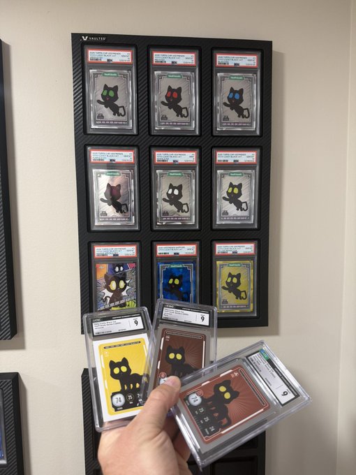 A collection of graded trading cards featuring a black cat design, displayed in a wall-mounted frame and held in hand, with grading labels from 'PROTOS' visible.