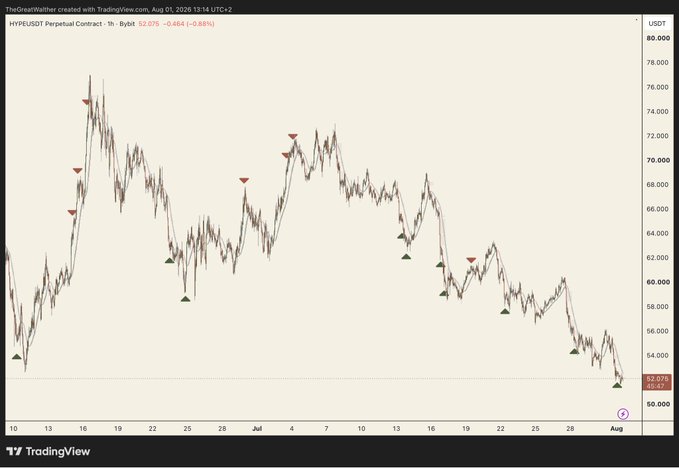 TradingView chart titled "TheGreatWither" showing the HYPERUSDT Perpetual Contract on the 1h timeframe, displaying price action between roughly $52,000 and $78,000 USDT over late June to early August, with red downward and green upward arrow markers.