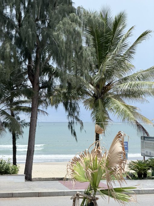 A tropical beach scene features palm trees, a sandy shore, ocean waves, and a blue road sign on the right.