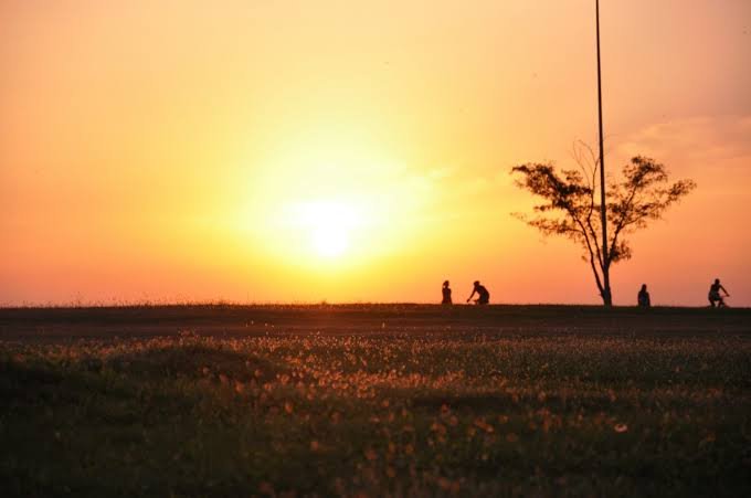 Silhouettes of people and a tree are visible against a vibrant orange sunset in a field.