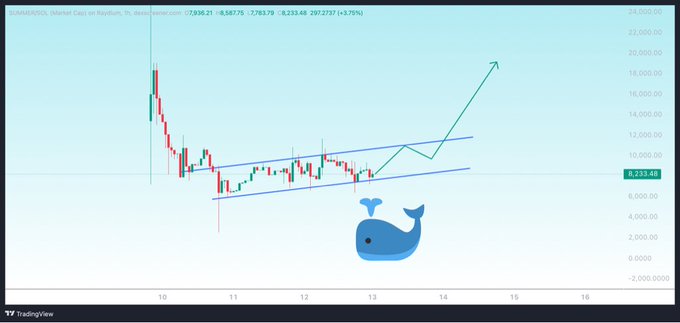 A candlestick chart of the ENAUSDT perpetual contract on Raydium showing an upward trend channel with a whale logo overlaid, currently at 8,233.48 (+3.75%).
