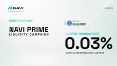 NAVI Prime Liquidity Campaign advertisement showing a current borrow rate of 0.03% with BNB/USDC mentioned.