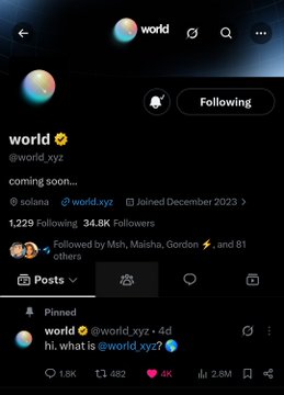 The image shows the X (Twitter) profile of "world" (@world_xyz), a Solana-based account that grew to 34.8K followers, featuring a pinned post that simply says "hi. what is @world_xyz?" This visual reinforces the post's alpha about the account's rapid growth and mysterious presence, as the pinned post itself plays into the intrigue of the project's unknown nature and the notable engagement it's receiving within the Solana ecosystem.