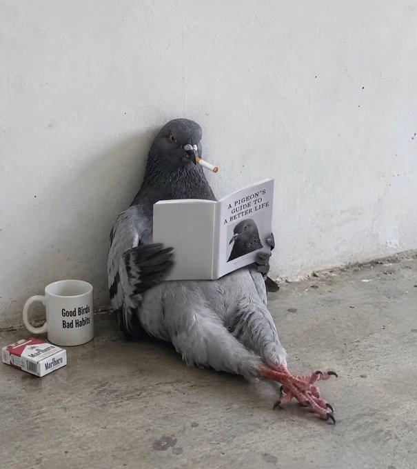 A pigeon sits against a wall smoking a cigarette while reading a book titled 'A PIGEON'S GUIDE TO A BETTER LIFE', next to a coffee mug reading 'Good Birds Bad Habits' and a pack of 'Marlboro' cigarettes.