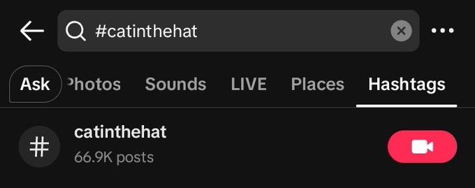 A TikTok search interface displaying the hashtag '#catinthehat' with 66.9K posts in the Hashtags tab.