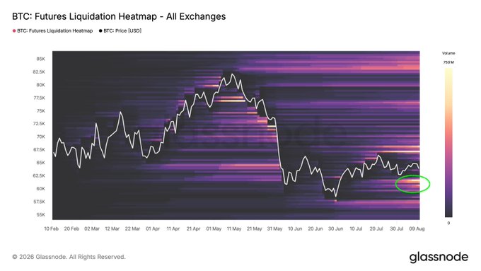 The image shows a BTC Futures Liquidation Heatmap from Glassnode covering all exchanges, displaying Bitcoin price action from February to August with a white price line overlaid on a colorful heatmap, where a green circle highlights a significant cluster of liquidation activity around $61,000—directly illustrating Rafael's analysis that substantial long liquidation risk has accumulated at this price level, meaning a drop to that range could trigger cascading forced liquidations.