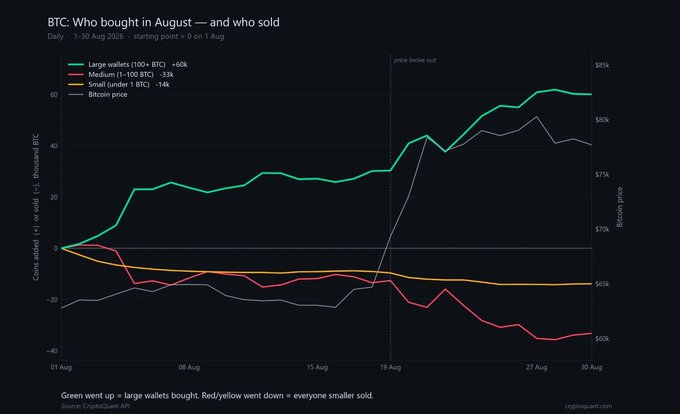 A CryptoQuant chart titled 'BTC: Who bought in August — and who sold' showing that large wallets (100+ BTC) added +60K BTC while medium (1-100 BTC) and small (under 1 BTC) wallets sold -33K and -14K respectively during August 2026, with Bitcoin price breaking out around August 19.