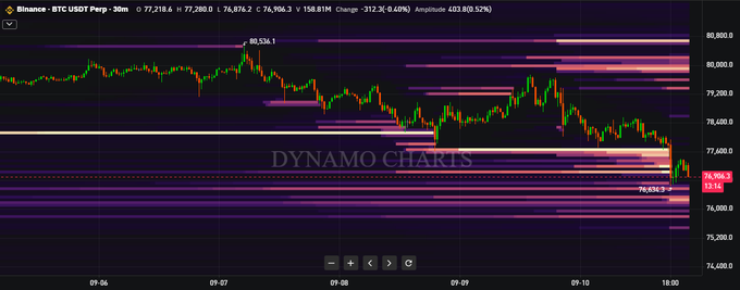 A financial chart from Dynamo Charts showing the Binance BTC USDT Perp 30m trading pair at 77,218.6, with price action between 74,400 and 80,800.