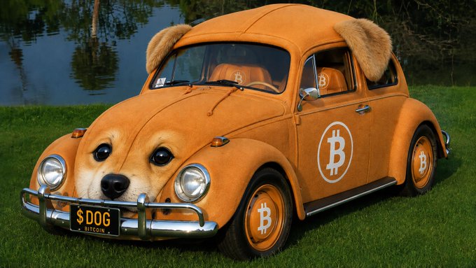 A vintage Volkswagen Beetle transformed into a Dogecoin-themed vehicle, featuring a Shiba Inu face on the front, fluffy ears on top, and Bitcoin logos on the doors and wheel hubs. The license plate reads "$DOG" with "BITCOIN" below it, perfectly tying into the post's celebration of the $DOG meme coin with a blend of Doge and crypto aesthetics.