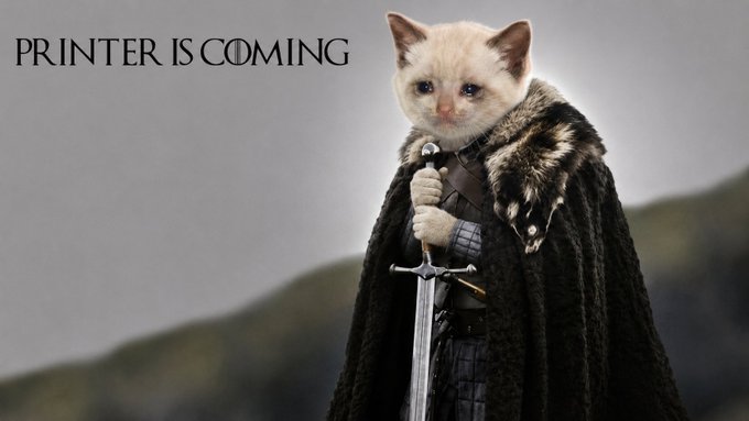 A meme featuring a cat dressed as Jon Snow from Game of Thrones holding a sword, with the text 'PRINTER IS COMING' displayed in the upper left.