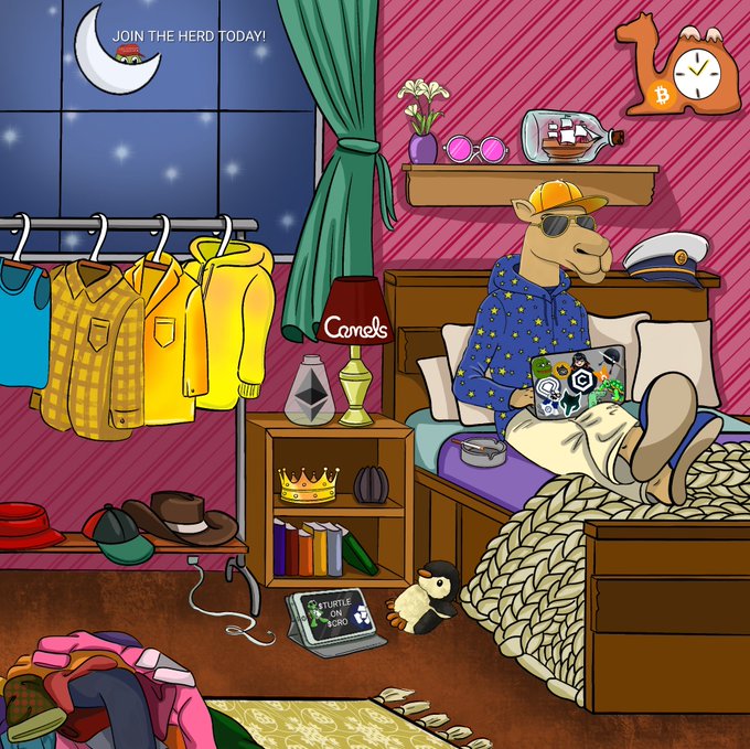 A colorful cartoon illustration of an anthropomorphic horse wearing a star-patterned hoodie and sunglasses, relaxing on a bed while using a laptop in a cluttered bedroom with various items and the text 'JOIN THE HERD TODAY!' and 'Camels'.