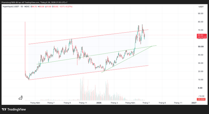 A TradingView daily candlestick chart of Hyperliquid (HYPE/USDT) shows the price trading around $63.82 with an ascending channel pattern, illustrating the current market position discussed in Multicoin's bullish $319 2028 price target report for HYPE.
