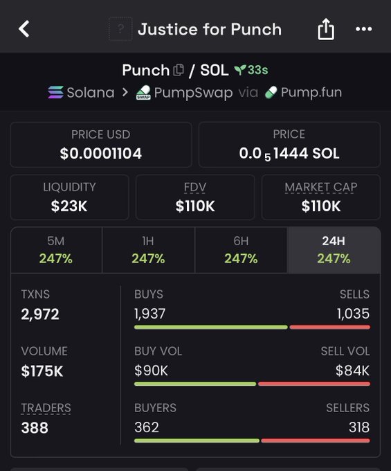 Trading interface for the 'Punch' token on Solana via PumpSwap, showing a price of $0.0001104, market cap of $110K, and 247% gains across all timeframes