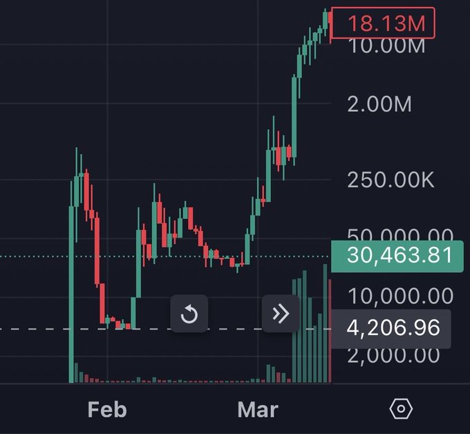 A candlestick chart showing a dramatic price rally from February to March, with the current value highlighted at 30,463.81, alongside navigation buttons and a peak value of 18.13M—visually illustrating the post's account of a wild journey from 250k down to 4k and back up to 18M market cap.