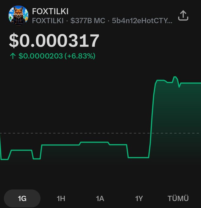 A cryptocurrency price chart for the FOX TILKI token showing a price of $0.000317 with a 24-hour increase of $0.0000203 (+6.83%), featuring a green upward trend line and a market cap of $377B MC.