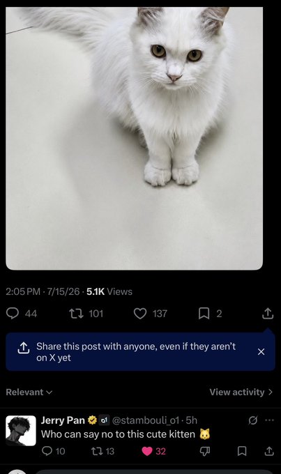 A social media post showing a fluffy white kitten standing on a surface, posted at 2:05 PM on 7/15/26 with 5.1K views, with a comment from user @stambouli.o1 reading 'Who can say no to this cute kitten'.
